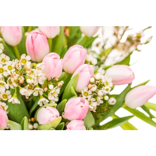 Kytice růžových tulipánů